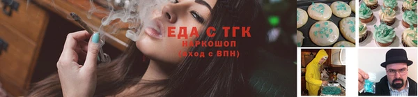 индика Россошь
