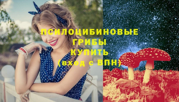 спайс Белокуриха